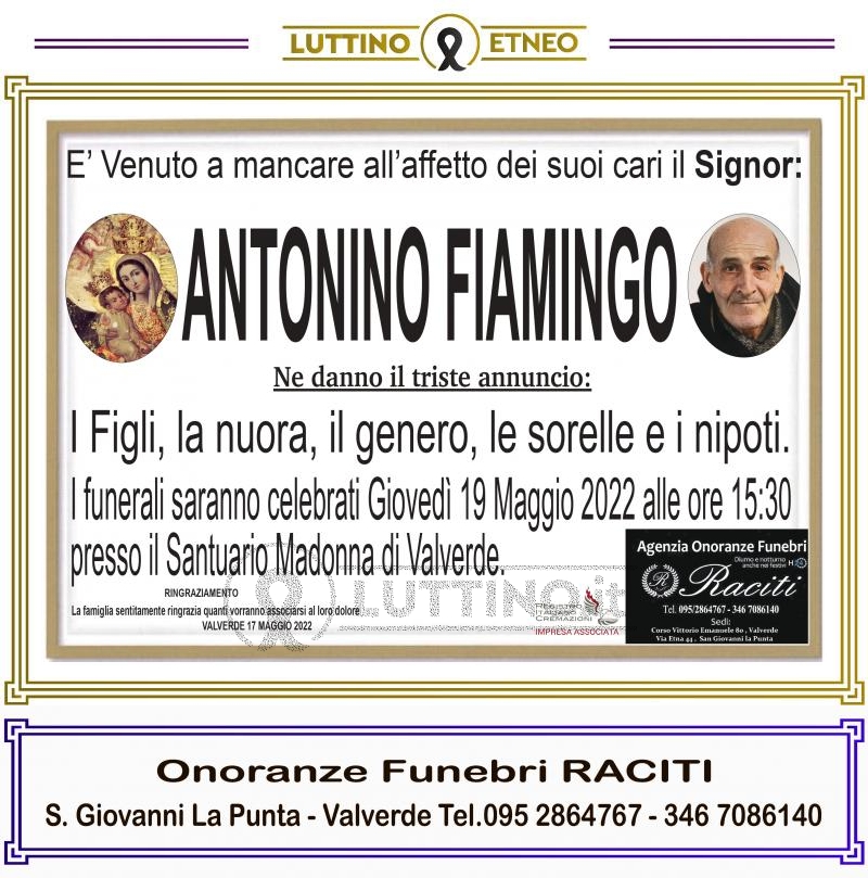 Antonino  Fiamingo 